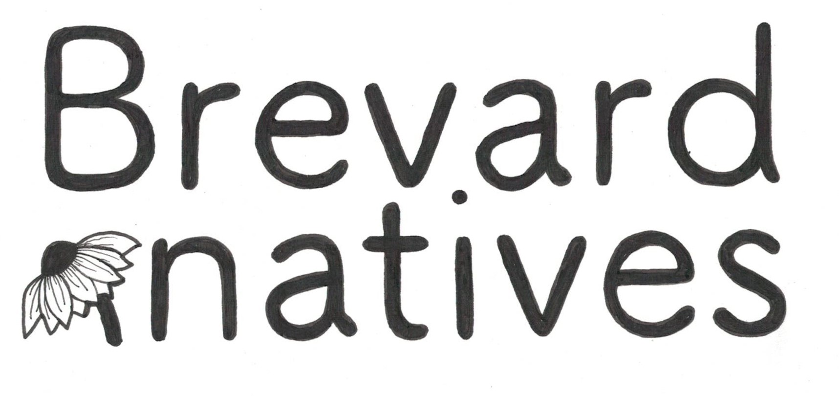 Brevard Natives Landscaping and Design